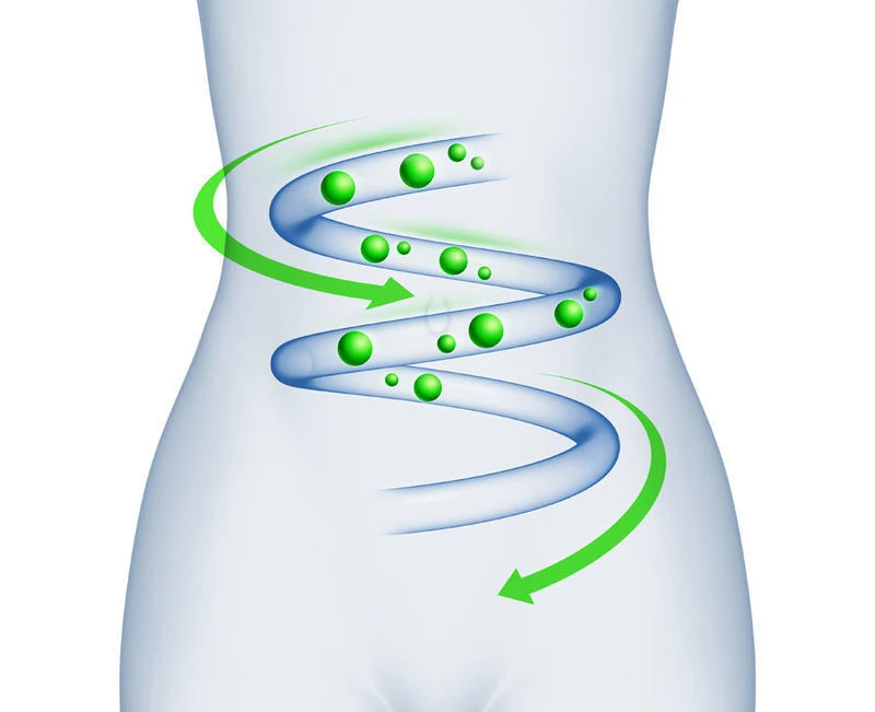 Digestive Enzymes