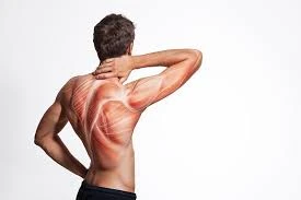 Relieve Muscle Pain