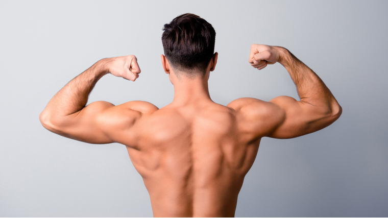 deltoids, muscles, shoulders, man